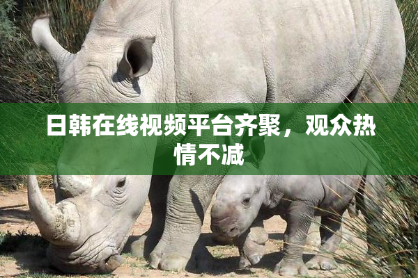 日韩在线视频平台齐聚，观众热情不减