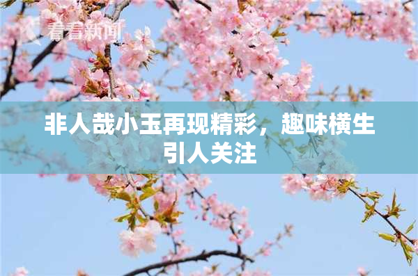 非人哉小玉再现精彩，趣味横生引人关注
