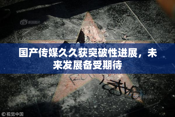 国产传媒久久获突破性进展，未来发展备受期待