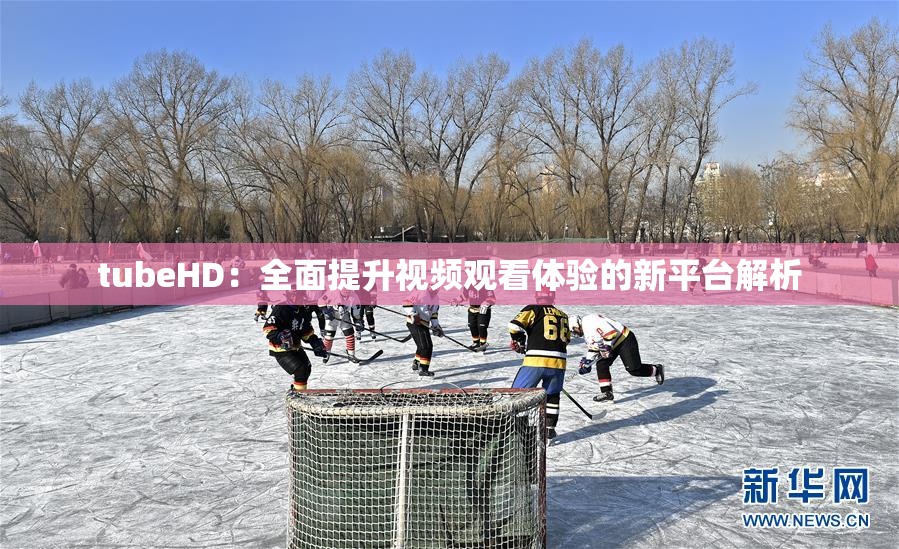 tubeHD：全面提升视频观看体验的新平台解析
