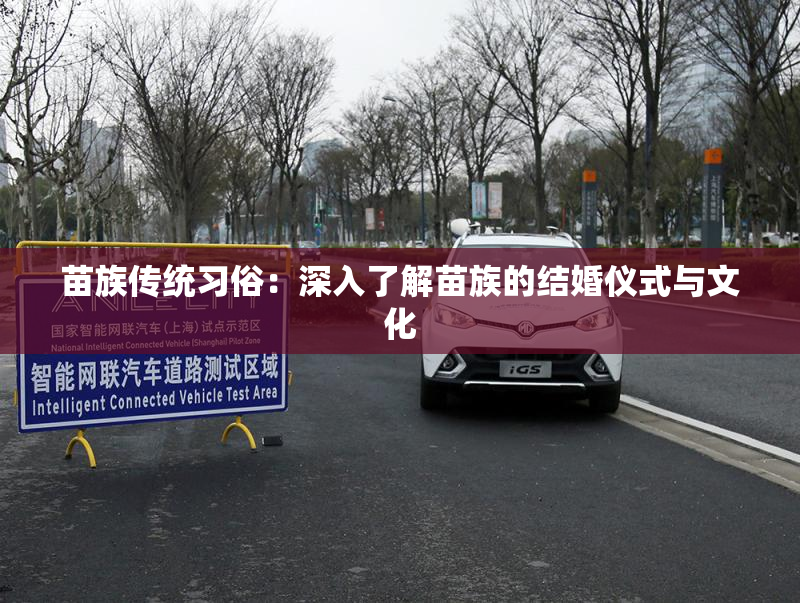 苗族传统习俗：深入了解苗族的结婚仪式与文化