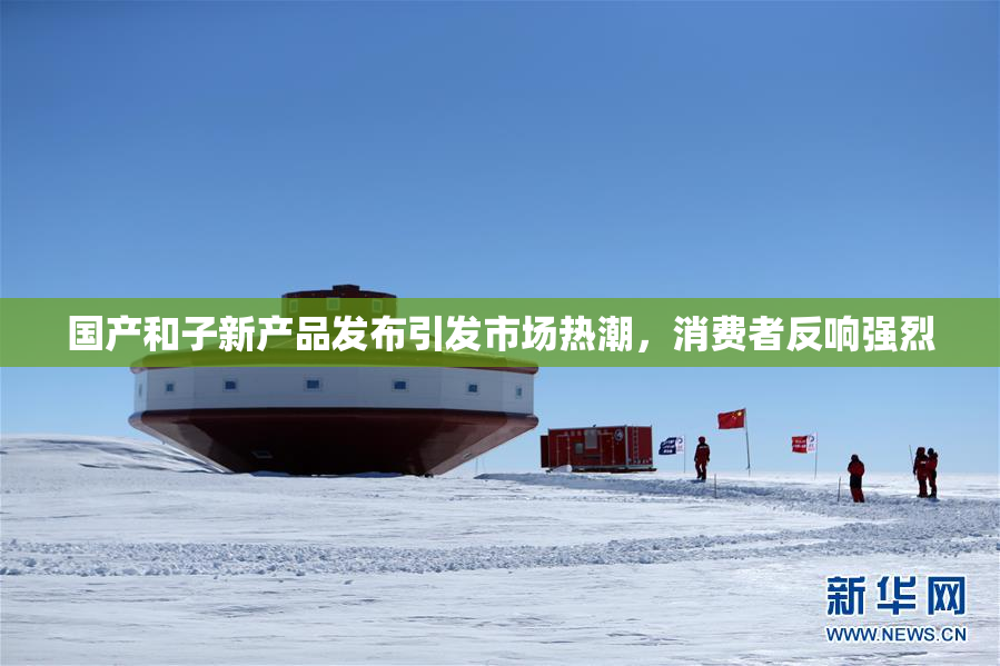 国产和子新产品发布引发市场热潮，消费者反响强烈