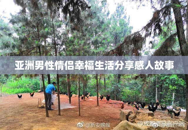 亚洲男性情侣幸福生活分享感人故事