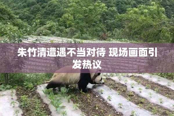 朱竹清遭遇不当对待 现场画面引发热议