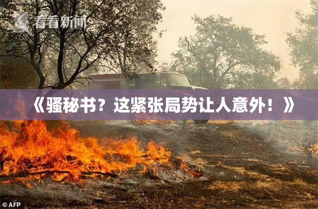 《骚秘书？这紧张局势让人意外！》