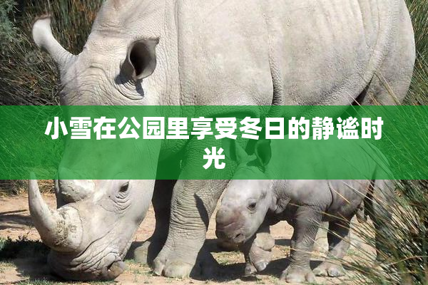 小雪在公园里享受冬日的静谧时光