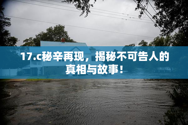 17.c秘辛再现，揭秘不可告人的真相与故事！