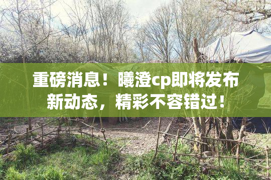 重磅消息！曦澄cp即将发布新动态，精彩不容错过！