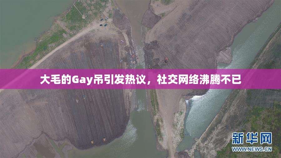 大毛的Gay吊引发热议，社交网络沸腾不已
