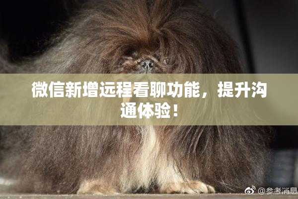 微信新增远程看聊功能，提升沟通体验！