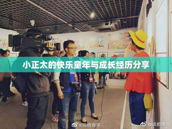 小正太的快乐童年与成长经历分享