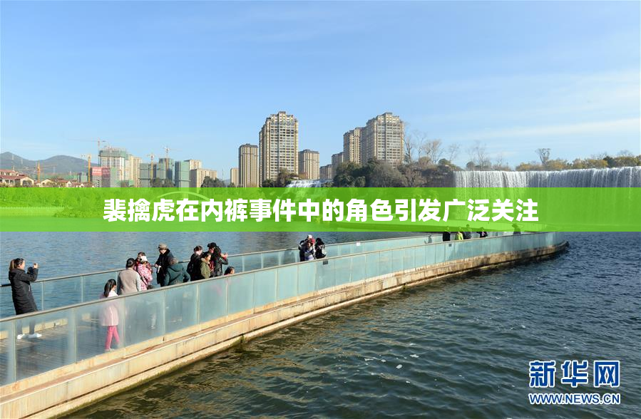 裴擒虎在内裤事件中的角色引发广泛关注
