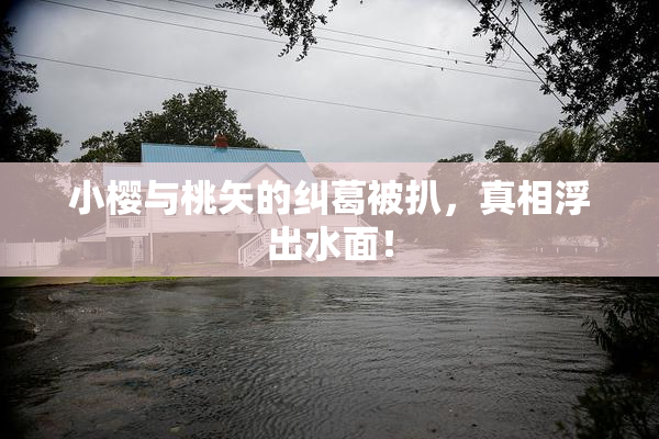 小樱与桃矢的纠葛被扒，真相浮出水面！