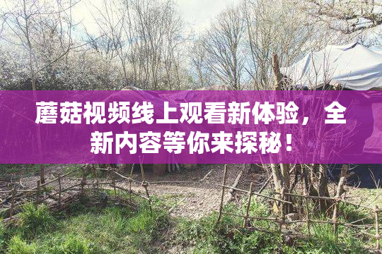 蘑菇视频线上观看新体验，全新内容等你来探秘！