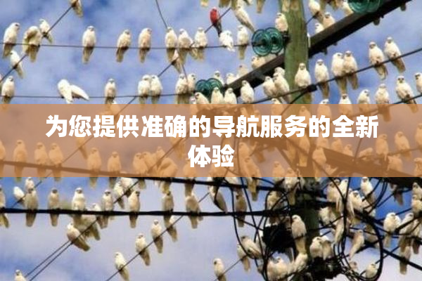 为您提供准确的导航服务的全新体验
