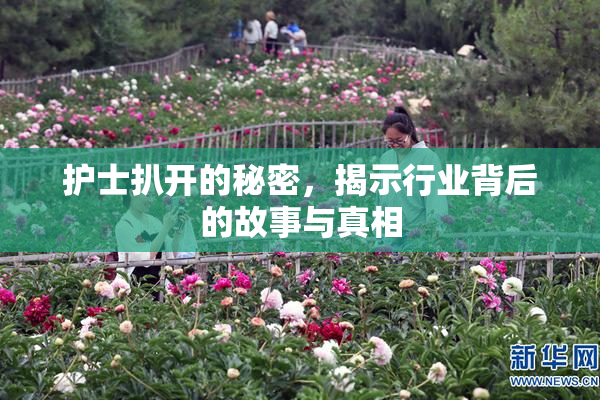 护士扒开的秘密，揭示行业背后的故事与真相