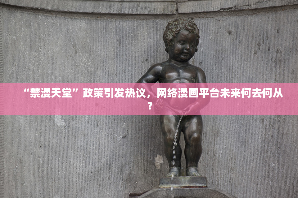 “禁漫天堂”政策引发热议，网络漫画平台未来何去何从？