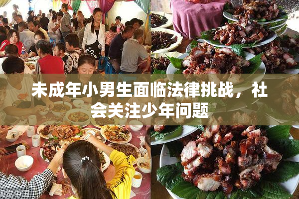 未成年小男生面临法律挑战，社会关注少年问题
