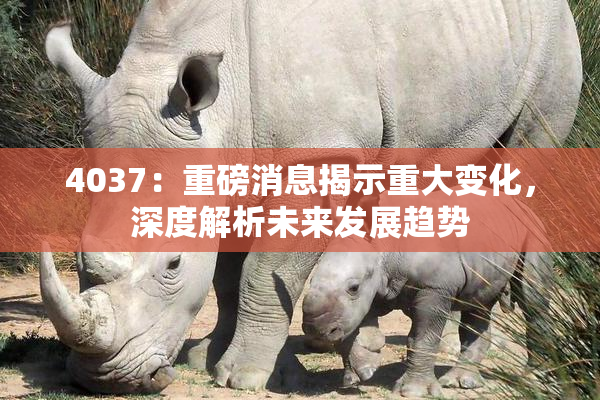4037：重磅消息揭示重大变化，深度解析未来发展趋势