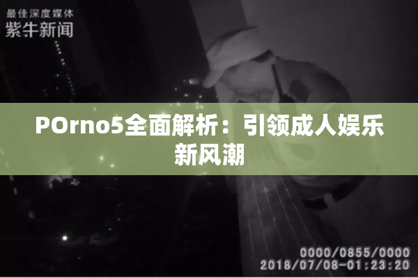 POrno5全面解析：引领成人娱乐新风潮