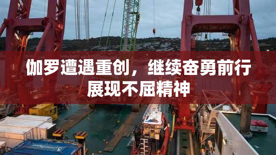 伽罗遭遇重创，继续奋勇前行展现不屈精神