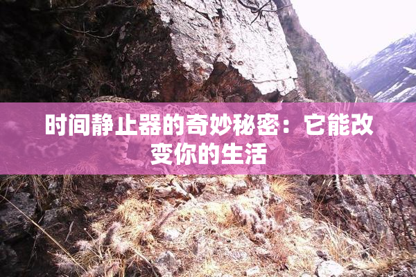 时间静止器的奇妙秘密：它能改变你的生活