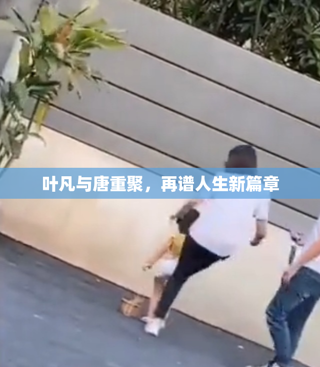 叶凡与唐重聚，再谱人生新篇章