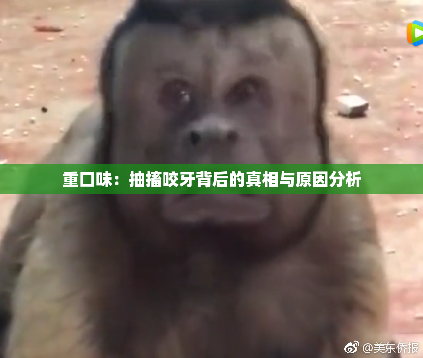 重口味：抽搐咬牙背后的真相与原因分析