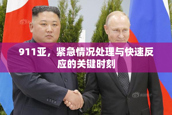 911亚，紧急情况处理与快速反应的关键时刻