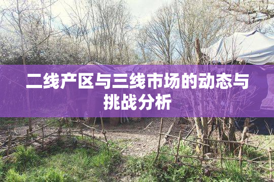 二线产区与三线市场的动态与挑战分析