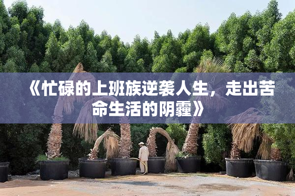 《忙碌的上班族逆袭人生，走出苦命生活的阴霾》