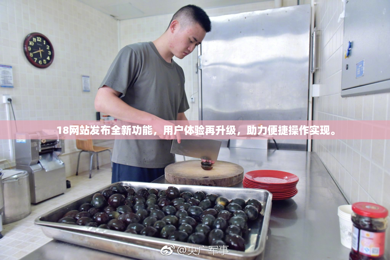 18网站发布全新功能，用户体验再升级，助力便捷操作实现。