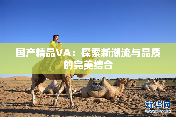 国产精品VA：探索新潮流与品质的完美结合