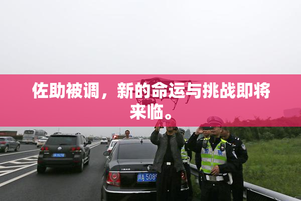 佐助被调，新的命运与挑战即将来临。