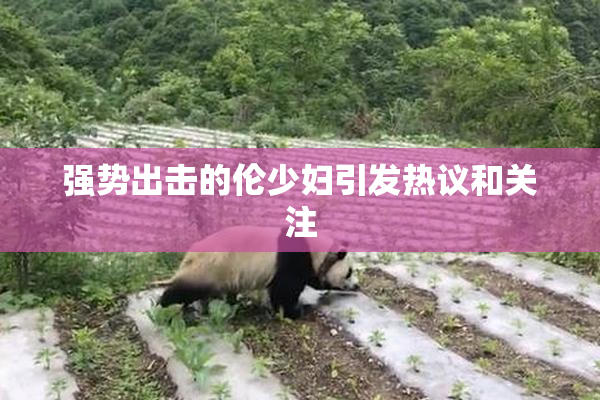 强势出击的伦少妇引发热议和关注
