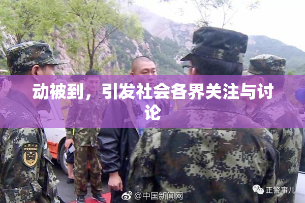 动被到，引发社会各界关注与讨论