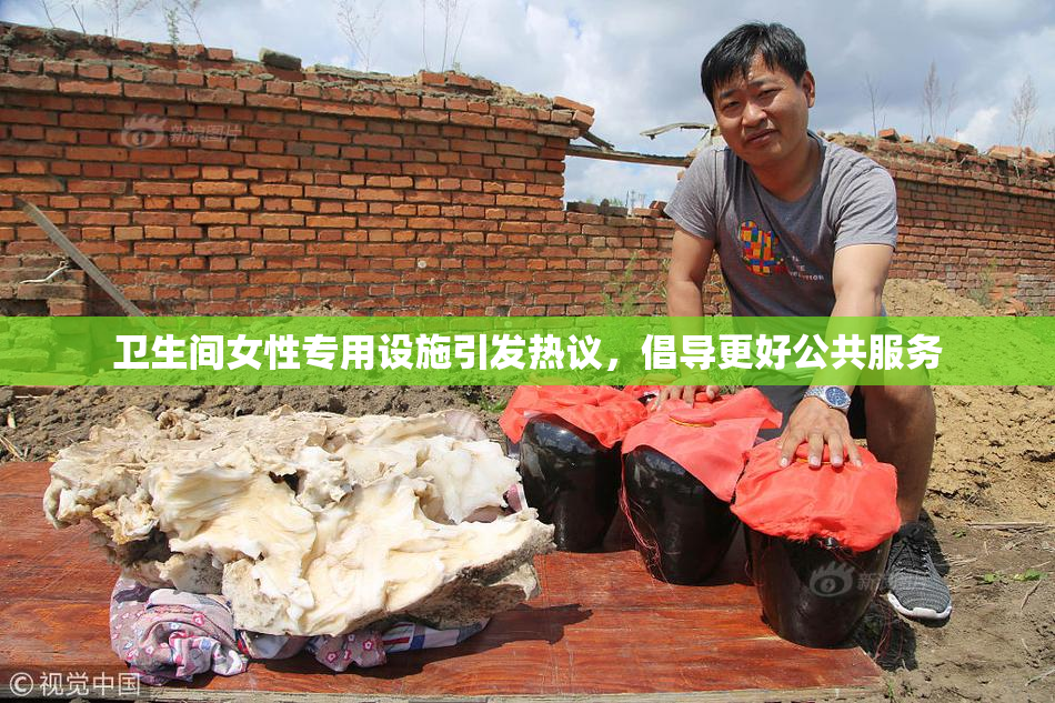 卫生间女性专用设施引发热议，倡导更好公共服务
