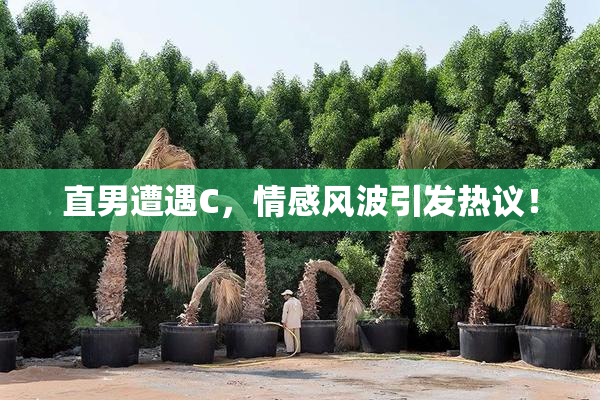 直男遭遇C，情感风波引发热议！