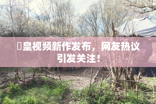 嘼皇视频新作发布，网友热议引发关注！