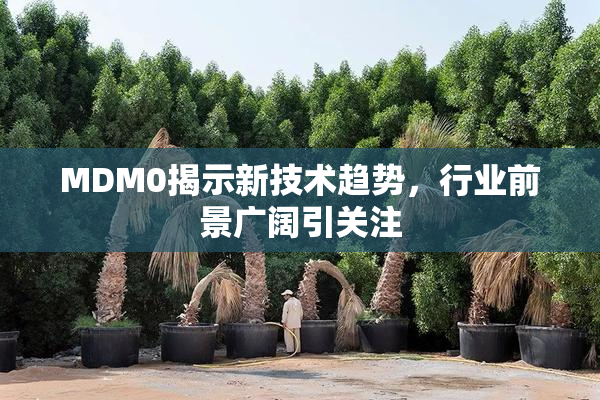 MDM0揭示新技术趋势，行业前景广阔引关注