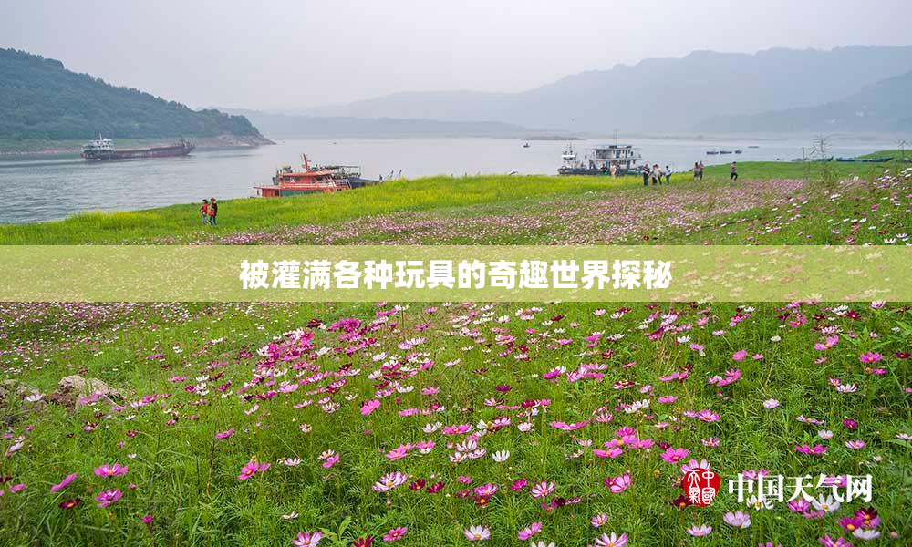 被灌满各种玩具的奇趣世界探秘