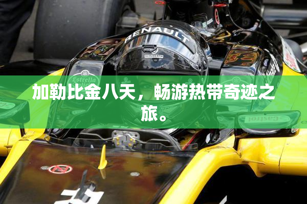 加勒比金八天，畅游热带奇迹之旅。