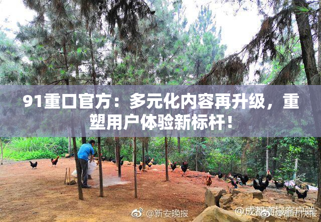 91重口官方：多元化内容再升级，重塑用户体验新标杆！