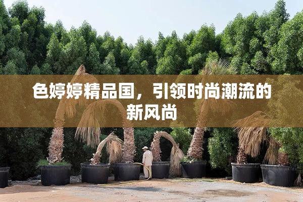 色婷婷精品国，引领时尚潮流的新风尚