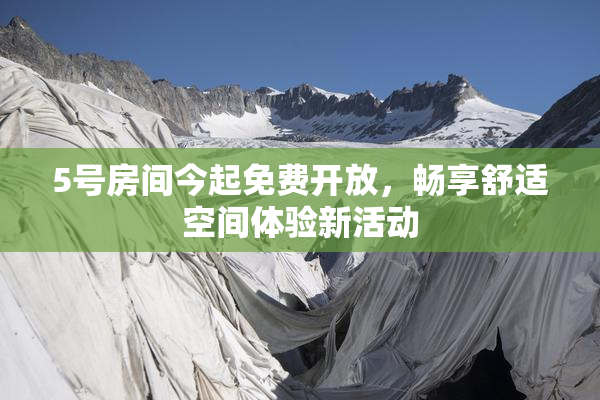 5号房间今起免费开放，畅享舒适空间体验新活动