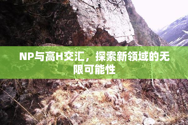 NP与高H交汇，探索新领域的无限可能性