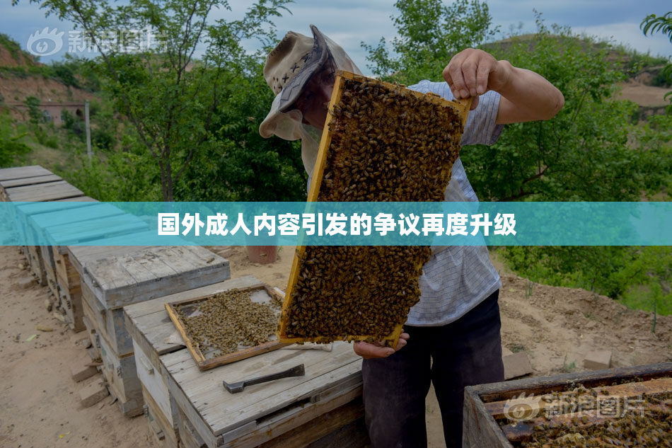 国外成人内容引发的争议再度升级