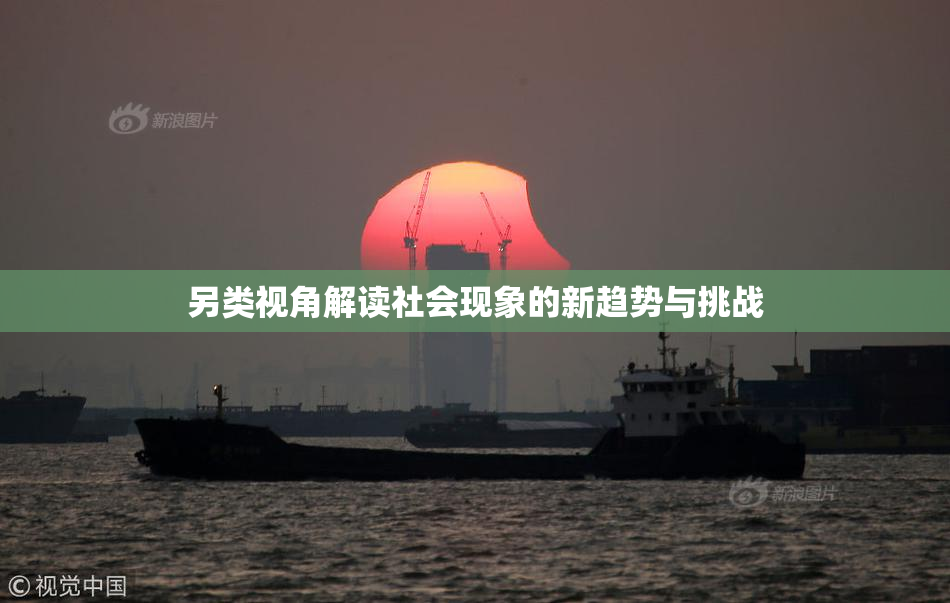 另类视角解读社会现象的新趋势与挑战
