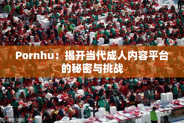 Pornhu：揭开当代成人内容平台的秘密与挑战