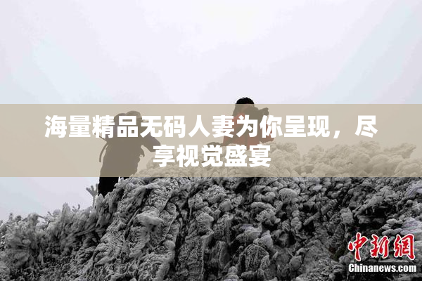 海量精品无码人妻为你呈现，尽享视觉盛宴